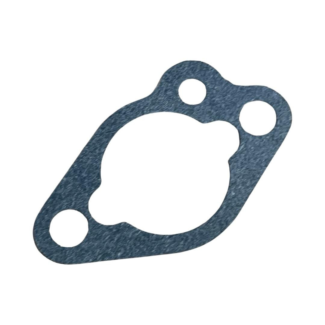 Carburetor Seal kit DH100i