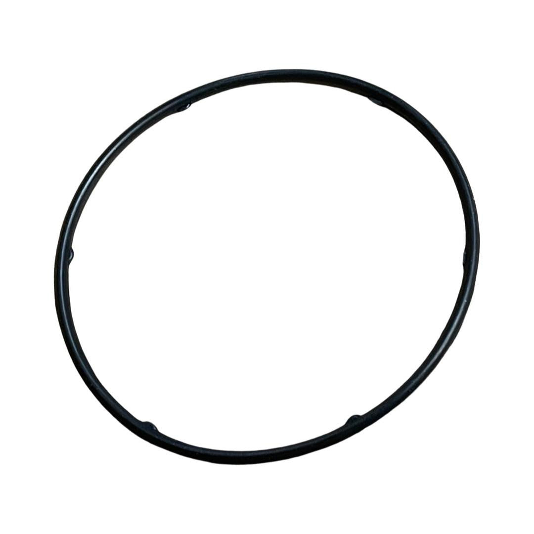 Carburetor Seal kit DH100i