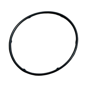 Carburetor Seal kit DH100i