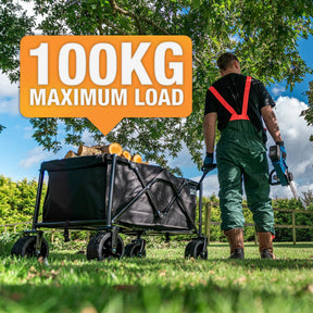 GTW260 Garden Trolley and HPS-300 600w Power Station