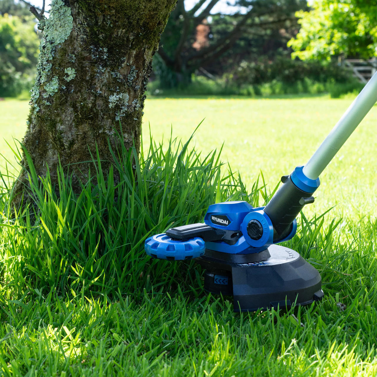 Hyundai 20V 2-in-1 Cordless Grass Trimmer and Lawn Edger 2Ah Battery, 25cm Cut | HY2187