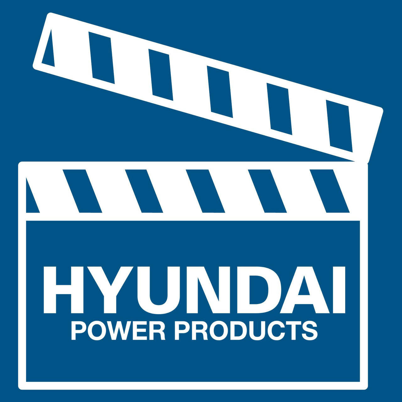Hyundai 20V 410mm Cordless Long Reach Pole Hedge Trimmer 2Ah Li-Ion Battery | HY2191