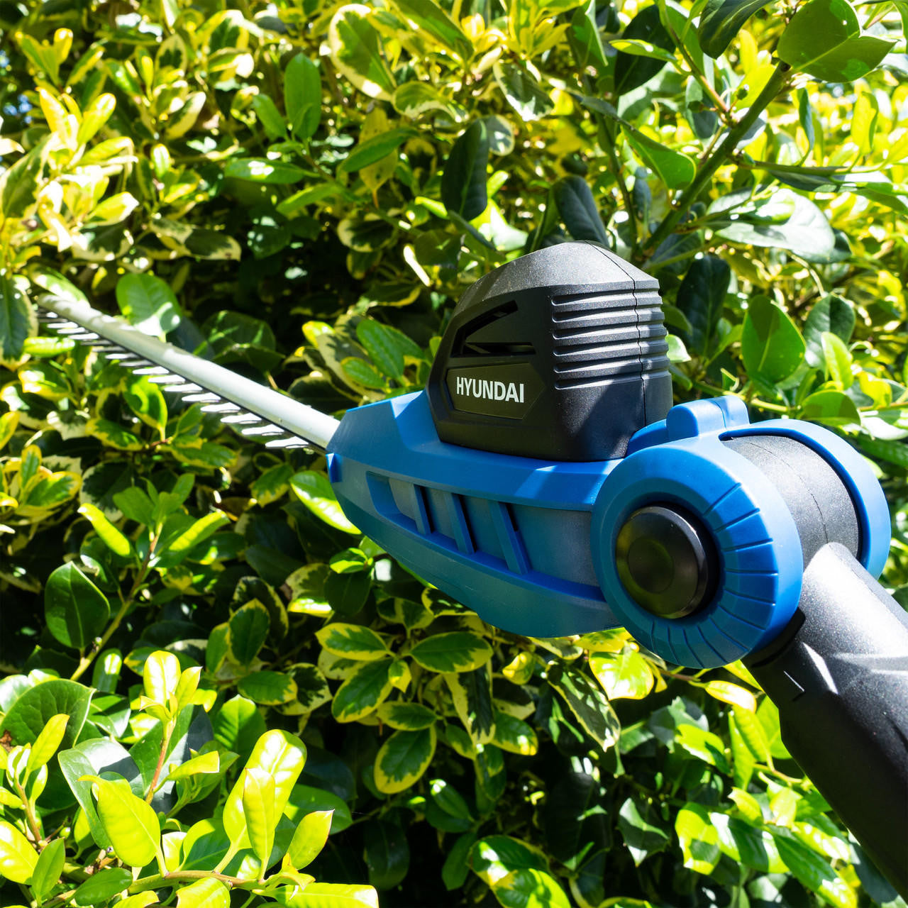 Hyundai 20V 410mm Cordless Long Reach Pole Hedge Trimmer 2Ah Li-Ion Battery | HY2191