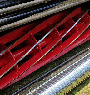 Cobra Fortis 20" Petrol Fine Turf