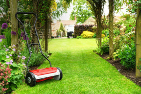 Cobra HM381 Hand Push Cylinder Lawnmower (38cm / 15")